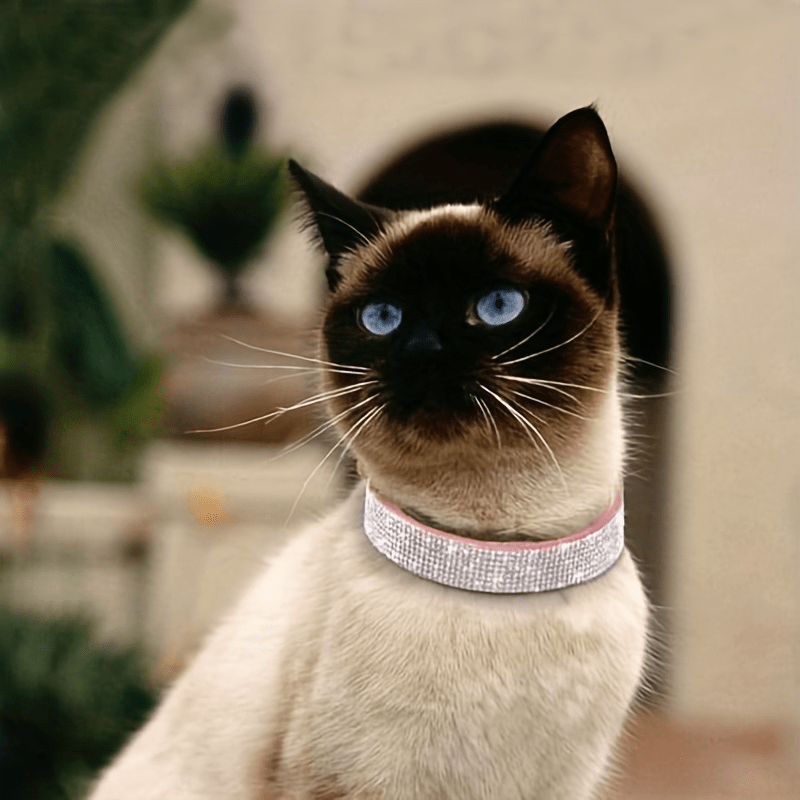 Adjustable Leather Collar With Rhinestone Bling For Cute Cats And Puppies