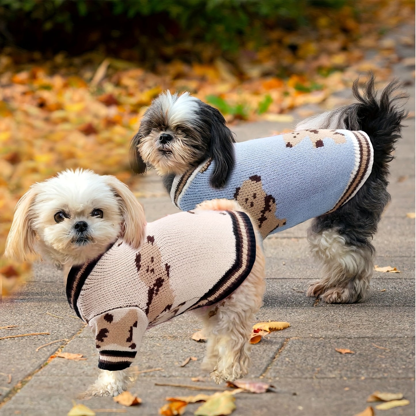 Graphic Dog/Cat Sweaters, Cute Bear Dog/Cat Cardigans Clothes For Small Dogs, Puppy, Cats Knit Outfits, Warm Pet Clothes, Soft Knitwear Apparel